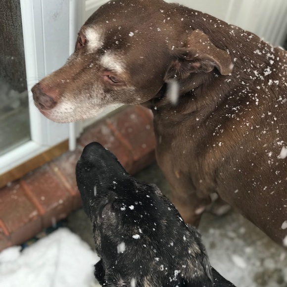 Meet your Posher, Courtenay - Picture 1 of 1